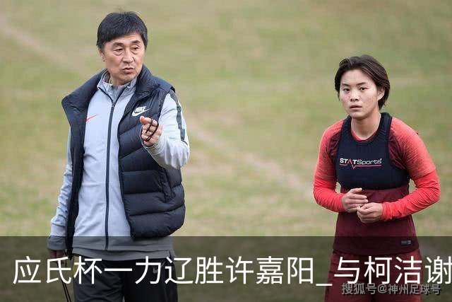 应氏杯一力辽胜许嘉阳 与柯洁谢科许皓鋐进4强